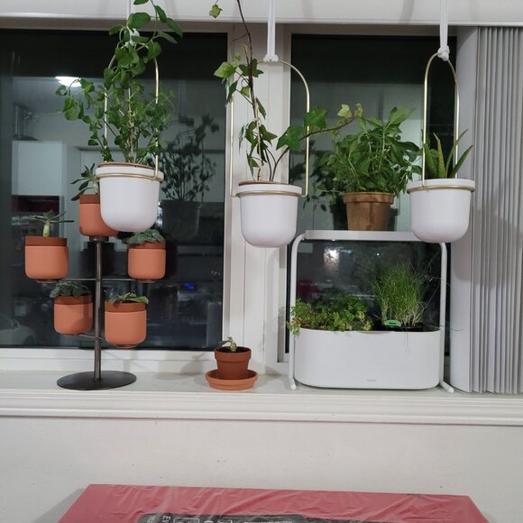 New in Box Umbra Giardino Indoor Herb Garden Set - Picture 12 of 14